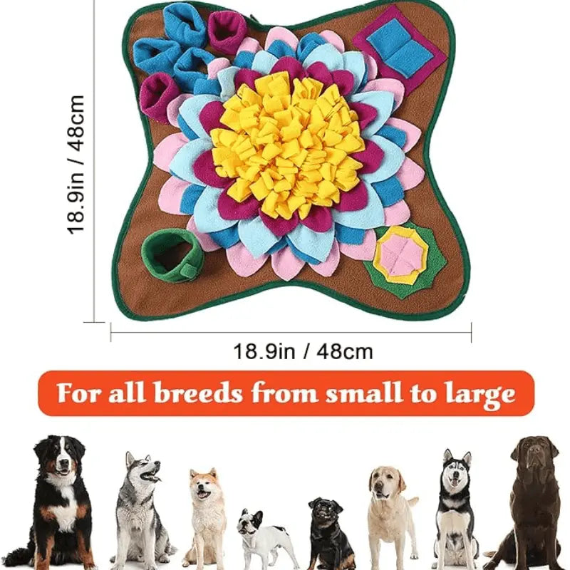 Anxiety Pet Care Bundle - Dog Products at Hunter’s Doggy Shop Free Shipping Worldwide