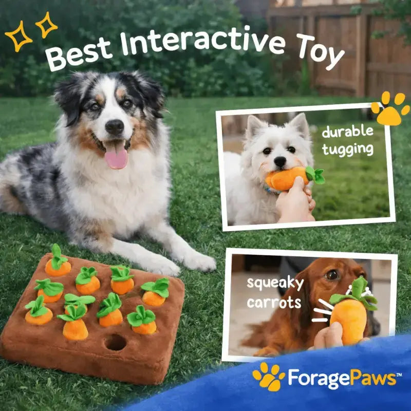 Foragepaws™ Carrot Foraging Toy for Dogs - Dog Products at Hunter’s Doggy Shop Free Shipping Worldwide