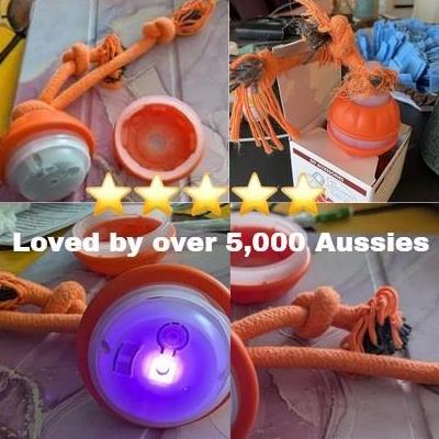 Zoomiball™ Toy for Active Dogs