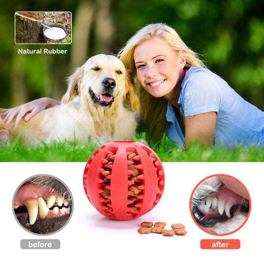 PawBite™ Dog Chew Toy