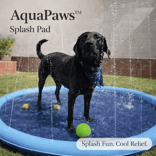 AquaPaws™ Splash Pad