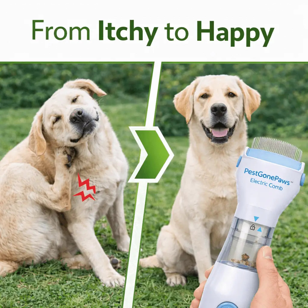 Pestgonepaws™ Electric Flea & Lice Removal Comb for Dogs