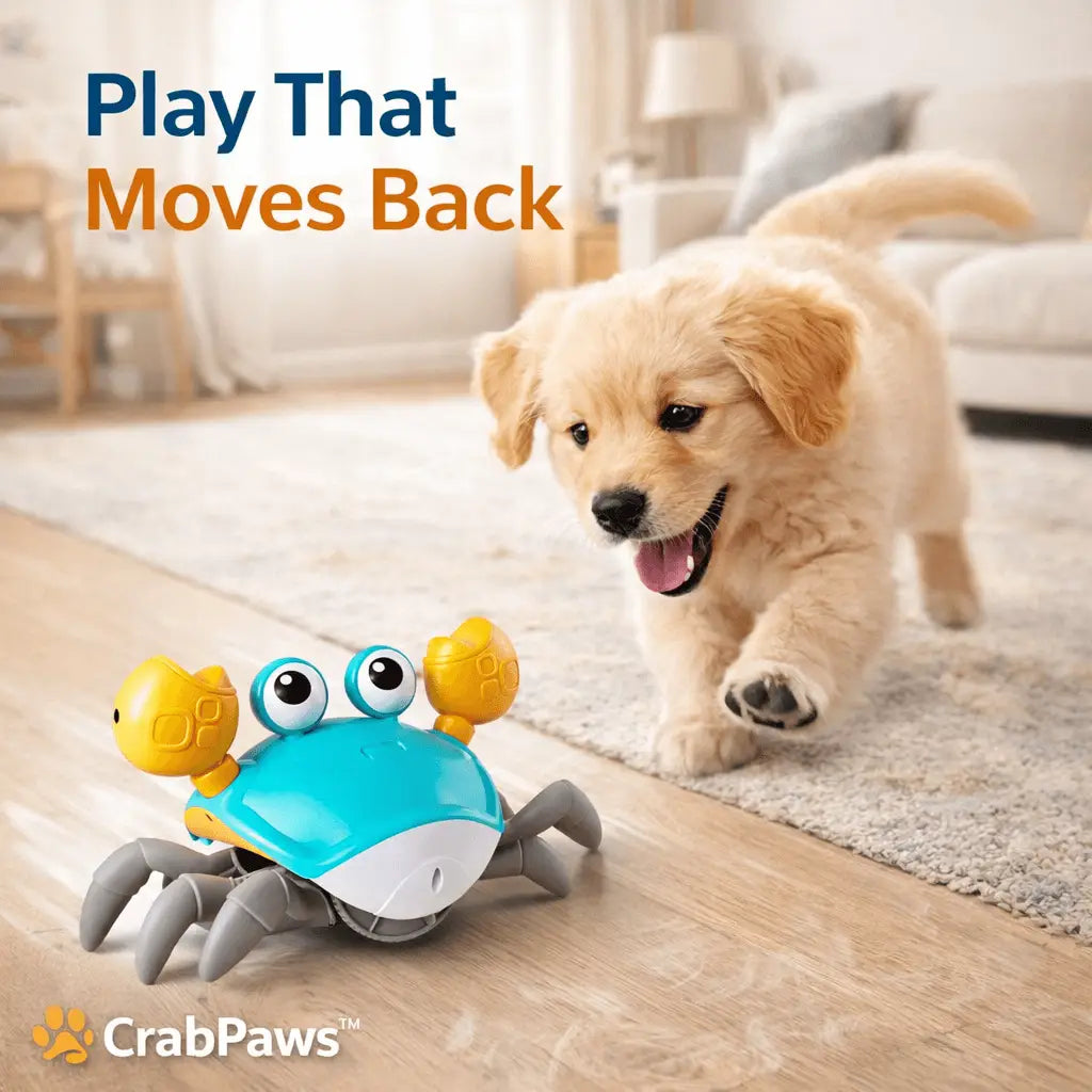 Crabpaws™ Interactive Moving Toy for Dogs
