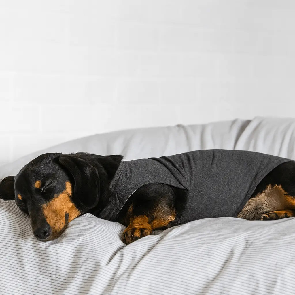 Hugvest™ Calming Vest for Dogs