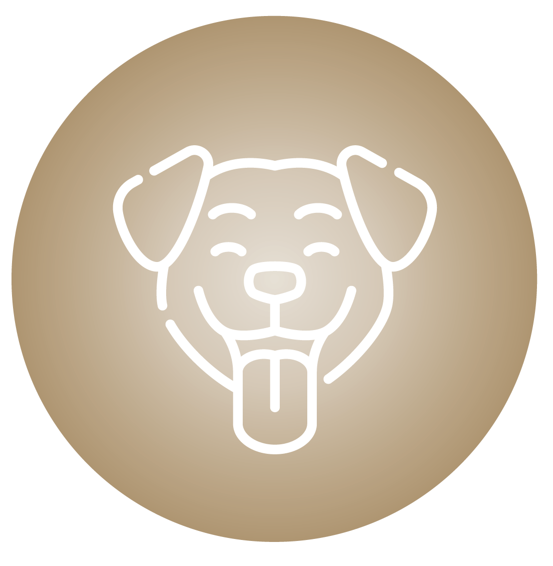 icon-image
