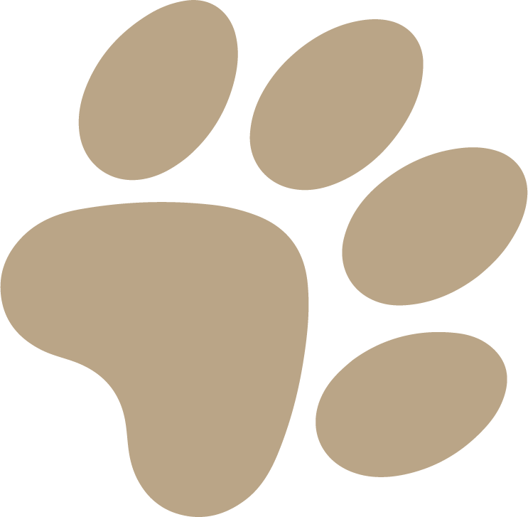 paw-image