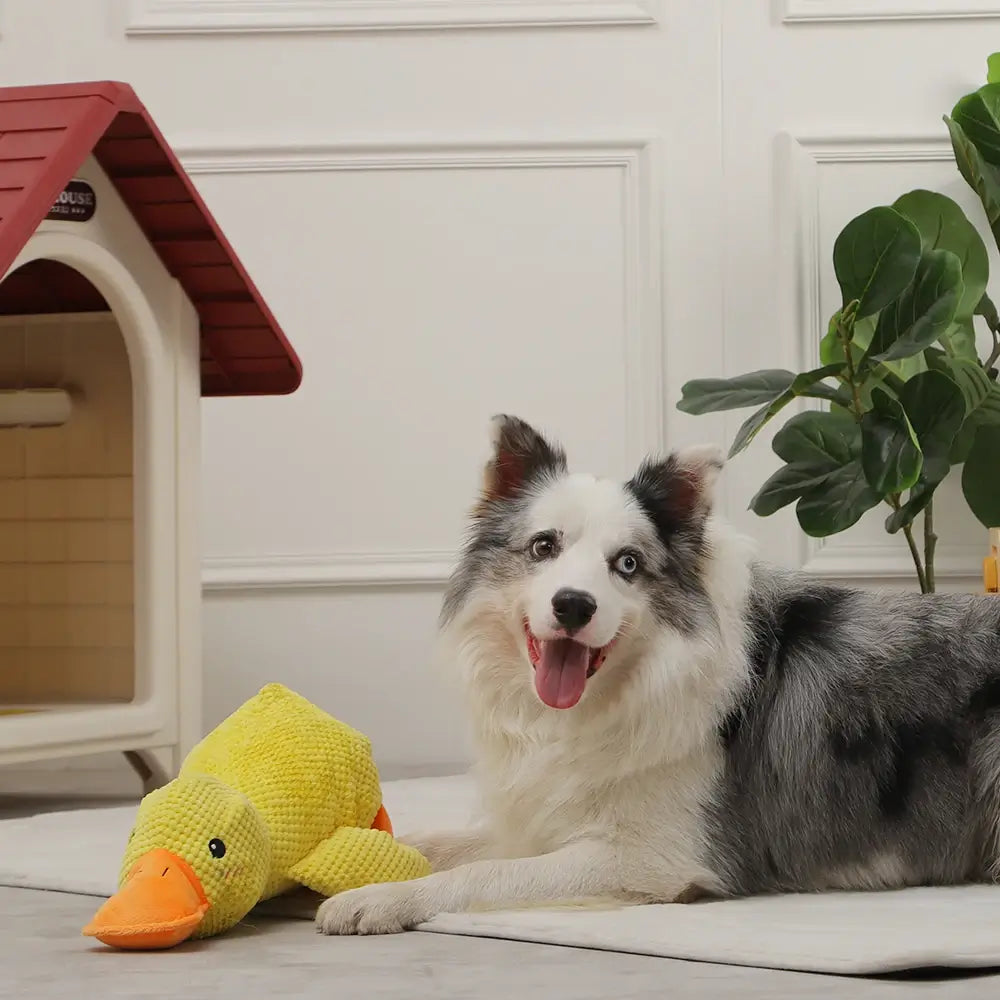 Snuggleduck™ Calming Toy for Dogs