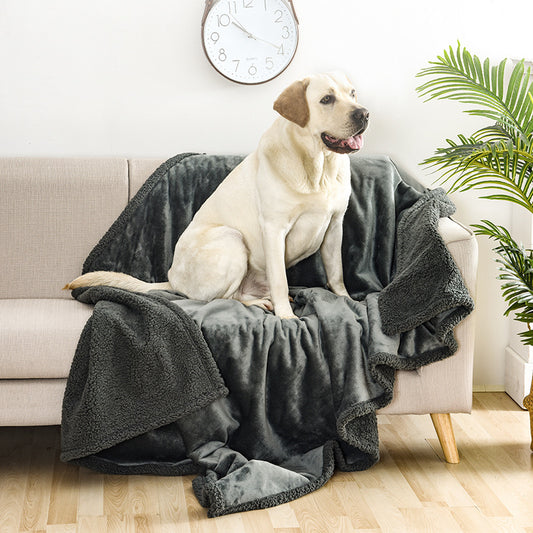 Paws & Protect™ Waterproof Dog Blanket