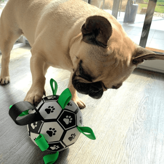 PawDribble™ – The Ultimate Interactive Dog Football