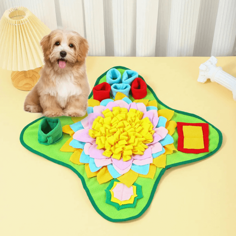 PawQuest™ Snuffle Mat