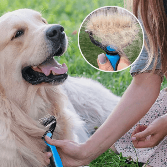 TidyPaws™ Tangle-Free Grooming