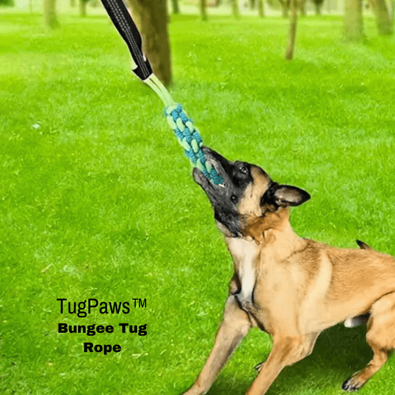 TugPaws™  Bungee Tug Rope