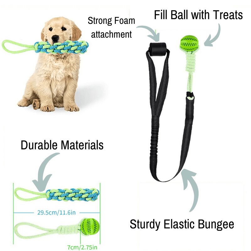 TugPaws™  Bungee Tug Rope