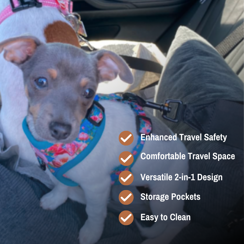 PawRide™ Dog Car Seat