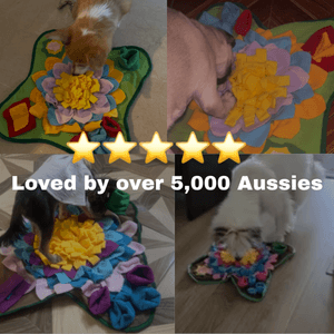Pawquest™ Snuffle Mat for Dogs – Calm Enrichment & Slow Feeding