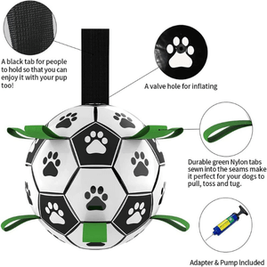 Zoomie Zoom Bundle for Joyful Dog Playtime