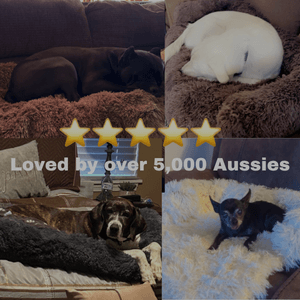 Caninecomfort™ Snug. Safe. Supported