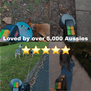 Tanglefreepaws™ Two Dogs. one Solution