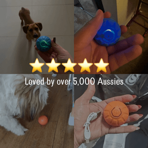 Pet Moviball™ Move. Light. Stimulate