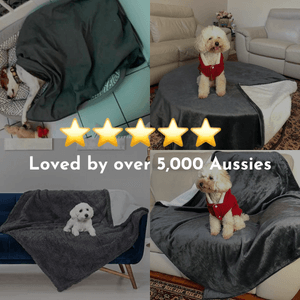 Paws & Protect™ Couch-safe. Dog-ready