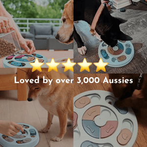 Brainboost™ Puzzle Toy