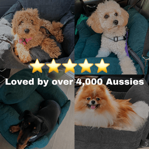Pawride™ Dog Car Seat