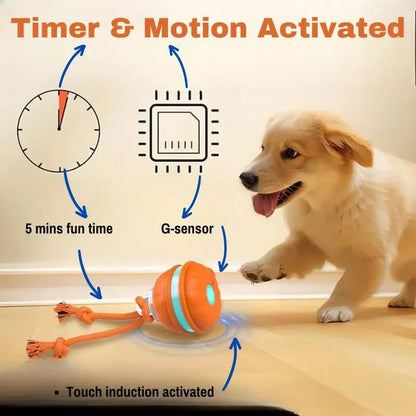 Anxiety Pet Care Bundle - Dog Products at Hunter’s Doggy Shop Free Shipping Worldwide