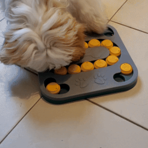 Brainboost™ Puzzle Toy - Dog Products at Hunter’s Doggy Shop Free Shipping Worldwide