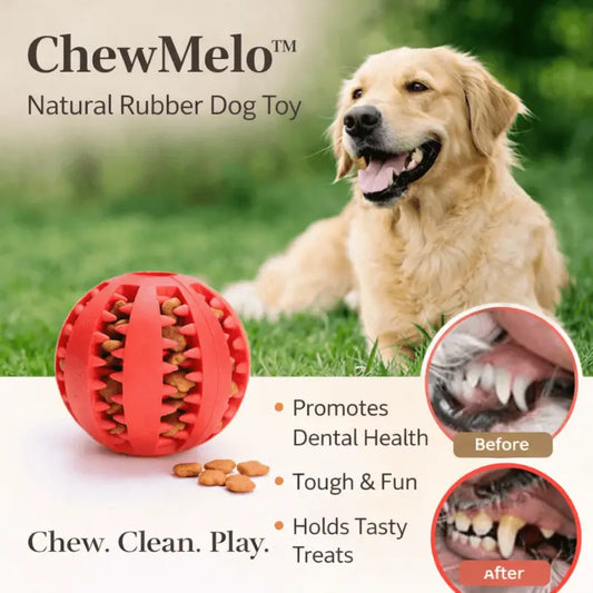 Chewmelo™ Chew. Clean. Play - Dog Products at Hunter’s Doggy Shop Free Shipping Worldwide