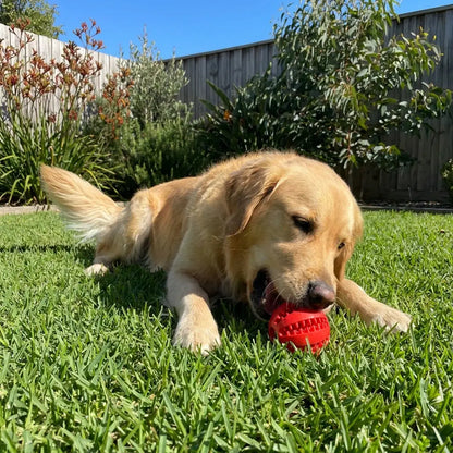 ChewMelo™ treat dispensing dog chew toy with golden retriever