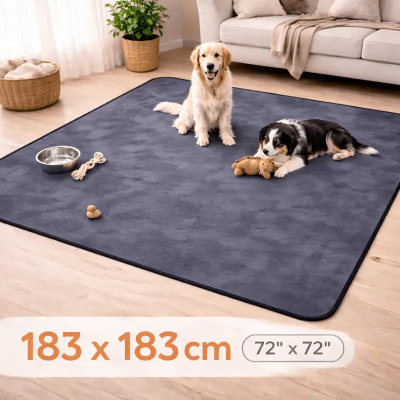 Cleanpaws™ Waterproof Pet Protection Mat - 1 Pack / 183 x 183cm - Dog Products at Hunter’s Doggy Shop Free Shipping