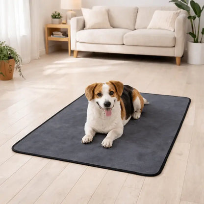Cleanpaws™ Waterproof Pet Protection Mat - Dog Products at Hunter’s Doggy Shop Free Shipping Worldwide