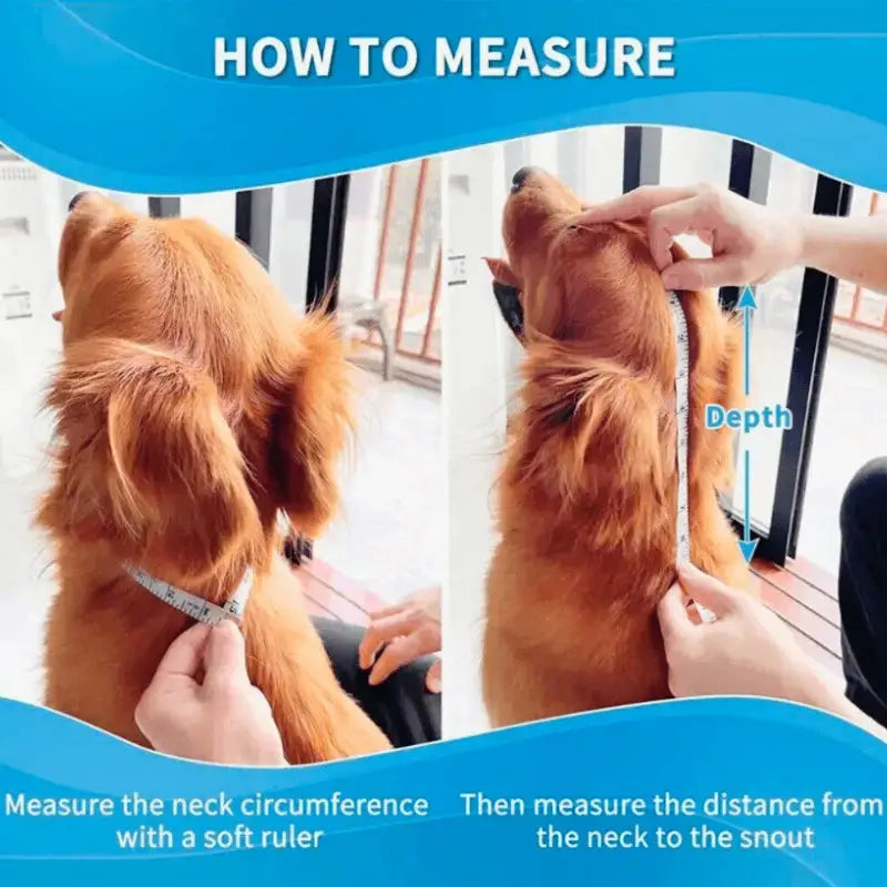 Comfycone™ Soft. Safe. Supportive - Dog Products at Hunter’s Doggy Shop Free Shipping Worldwide
