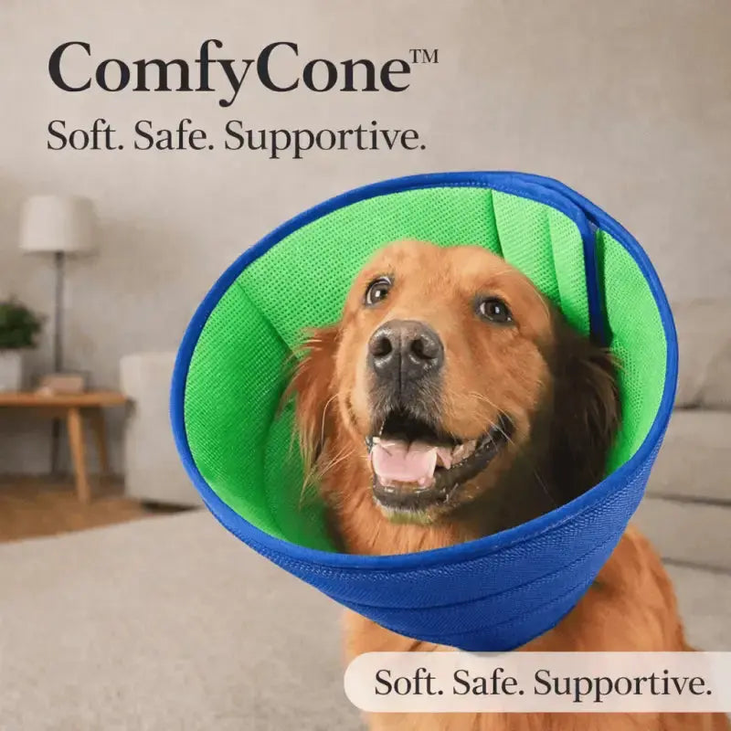 Comfycone™ Soft. Safe. Supportive - Dog Products at Hunter’s Doggy Shop Free Shipping Worldwide
