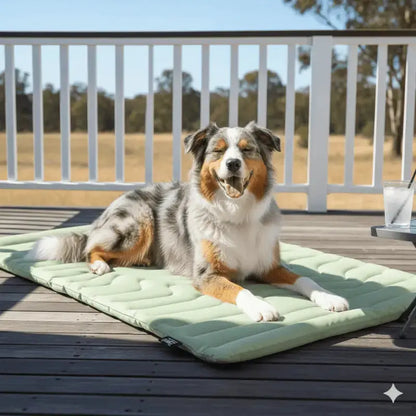 Coolpaws™ Summer Cooling Mat - Green / Medium 91x58cm - Free Shipping Worldwide