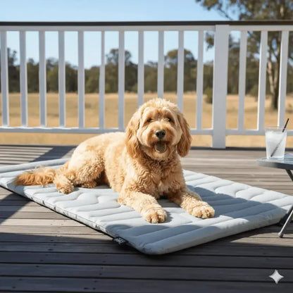 Coolpaws™ Summer Cooling Mat - Grey / Medium 91x58cm - Free Shipping Worldwide