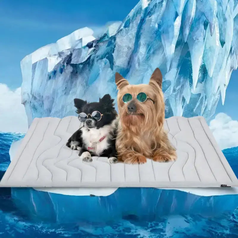 Coolpaws™ Summer Cooling Mat - Free Shipping Worldwide