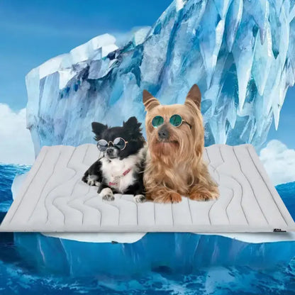 Coolpaws™ Summer Cooling Mat - Free Shipping Worldwide