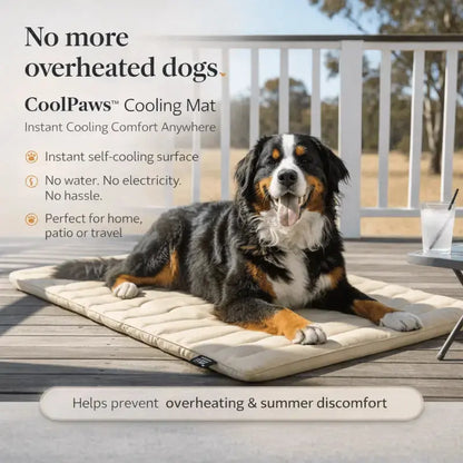 Coolpaws™ Summer Cooling Mat - Free Shipping Worldwide