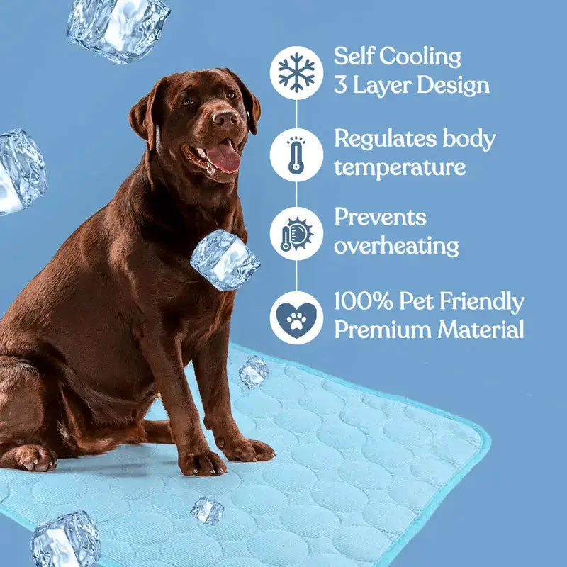 Coolpaws™ Summer Cooling Mat - Free Shipping Worldwide