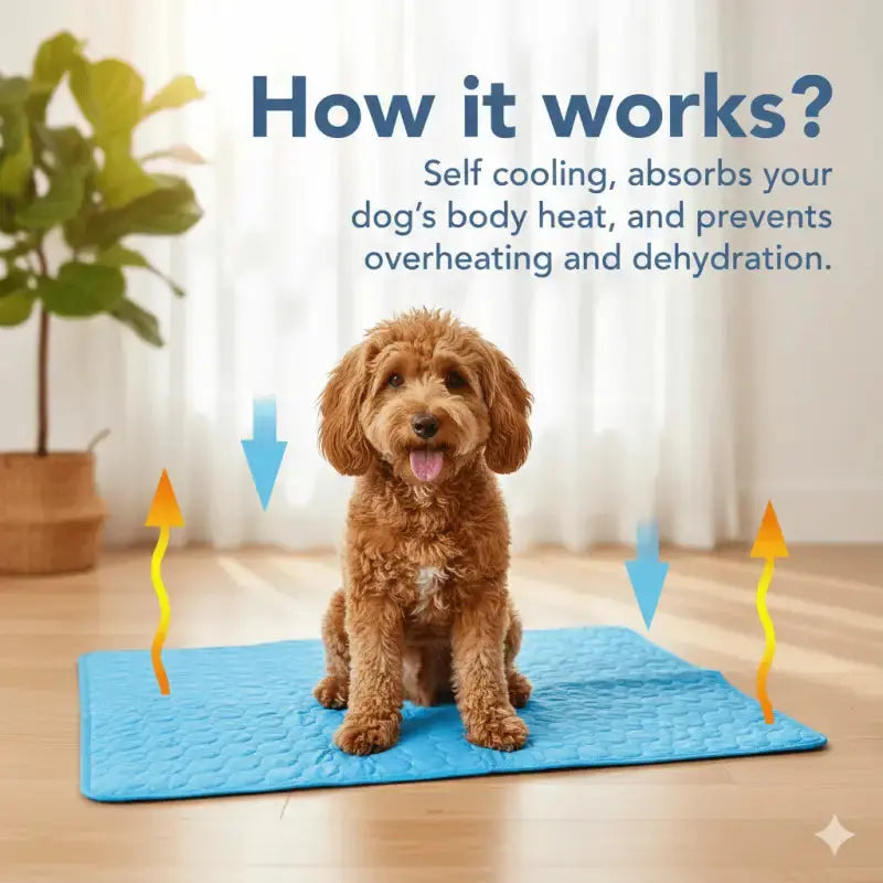 Coolpaws™ Summer Cooling Mat - Free Shipping Worldwide