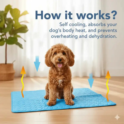 Coolpaws™ Summer Cooling Mat - Free Shipping Worldwide