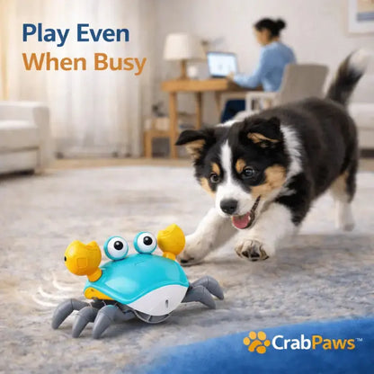 Crabpaws™ Interactive Moving Toy for Dogs - Dog Products at Hunter’s Doggy Shop Free Shipping Worldwide