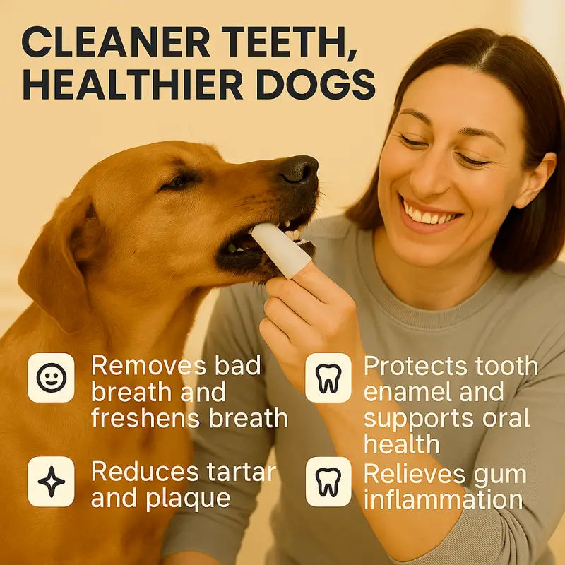 Dentalpaws™ Gentle Wipes for Daily Dental Care - Best Selling Dog Products and Pet Essentials Collection Free Shipping
