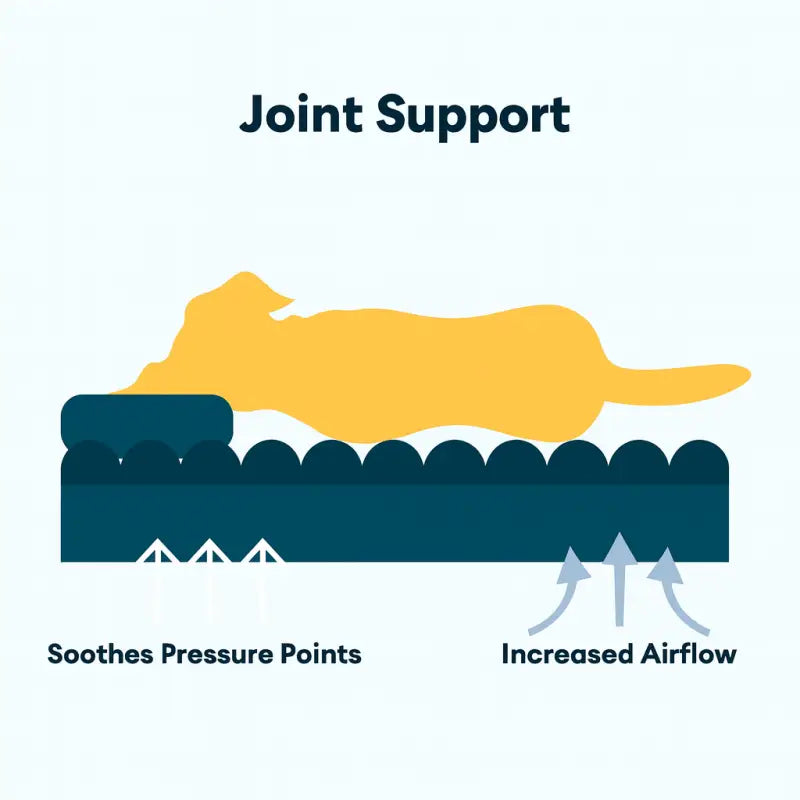 Dreampaws™ Orthopaedic Dog Sofa Bed - Products at Hunter’s Doggy Shop Free Shipping Worldwide