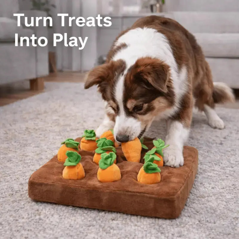 Foragepaws™ Carrot Foraging Toy for Dogs - Dog Products at Hunter’s Doggy Shop Free Shipping Worldwide