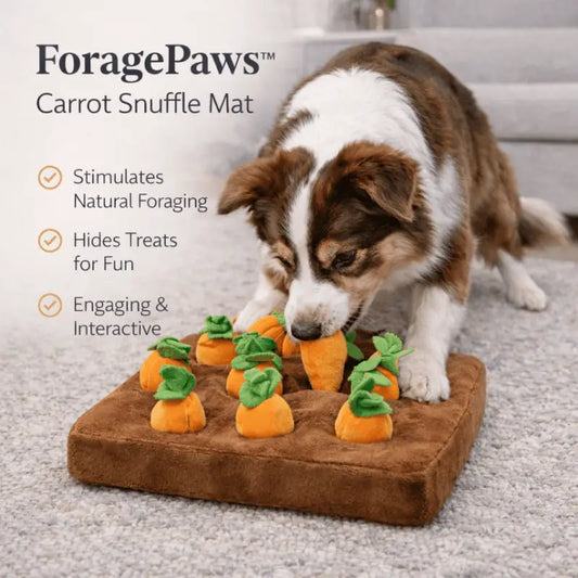 Foragepaws™ Carrot Foraging Toy for Dogs - Dog Products at Hunter’s Doggy Shop Free Shipping Worldwide