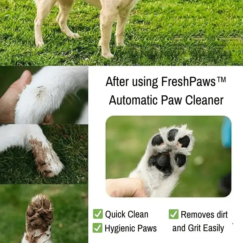 Freshpaws™ Automatic Paw Cleaner - Dog Products at Hunter’s Doggy Shop Free Shipping Worldwide