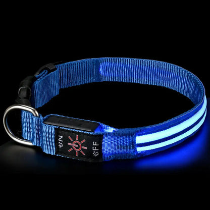 GlowCollar™ LED dog collar in blue on a white background