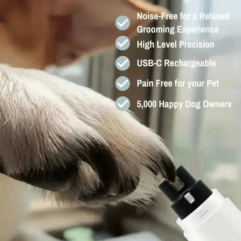 Groom & Glow Bundle - Dog Products at Hunter’s Doggy Shop Free Shipping Worldwide